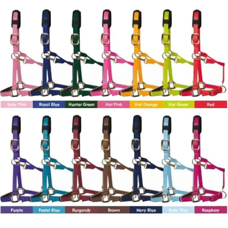 KM Elite Padded Headcollar Pony